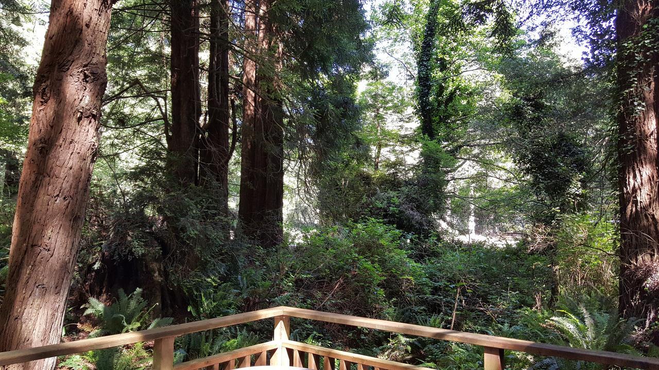Emerald Forest Cabins ترينيداد المظهر الخارجي الصورة