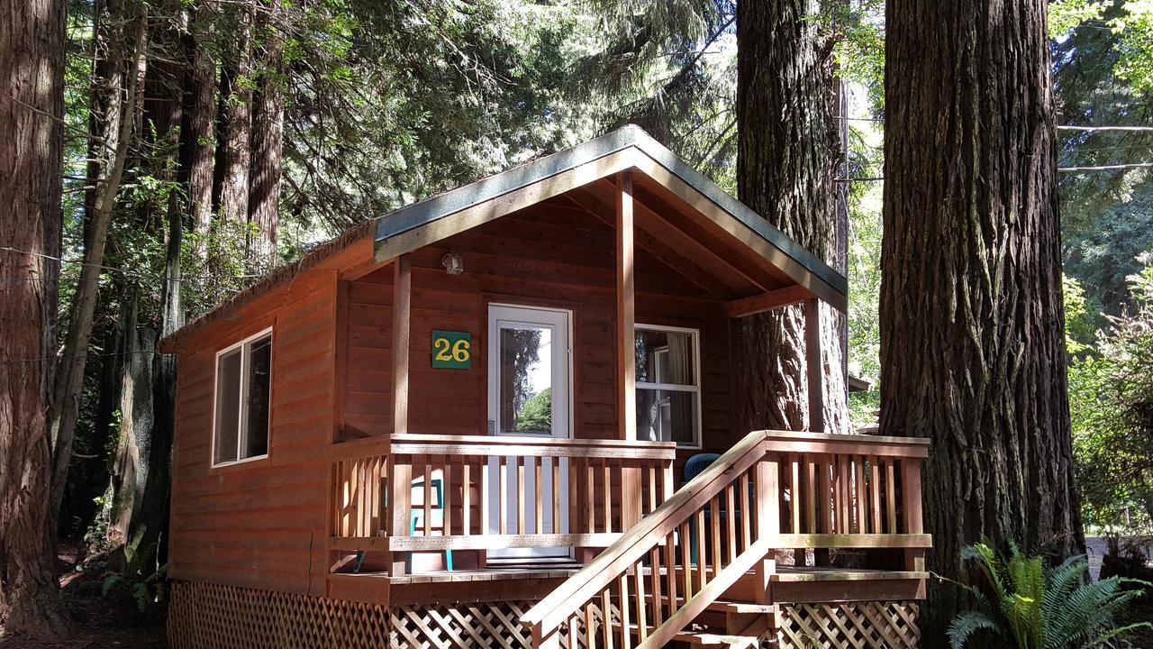 Emerald Forest Cabins ترينيداد المظهر الخارجي الصورة