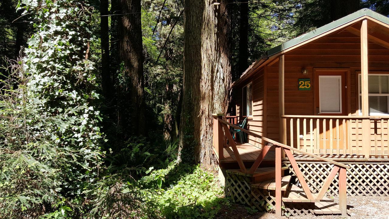 Emerald Forest Cabins ترينيداد المظهر الخارجي الصورة