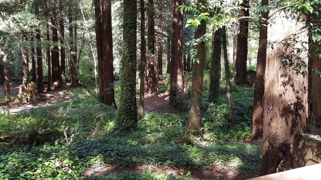 Emerald Forest Cabins ترينيداد المظهر الخارجي الصورة