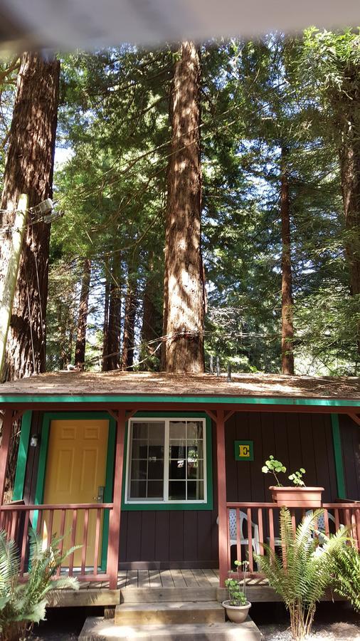 Emerald Forest Cabins ترينيداد الغرفة الصورة
