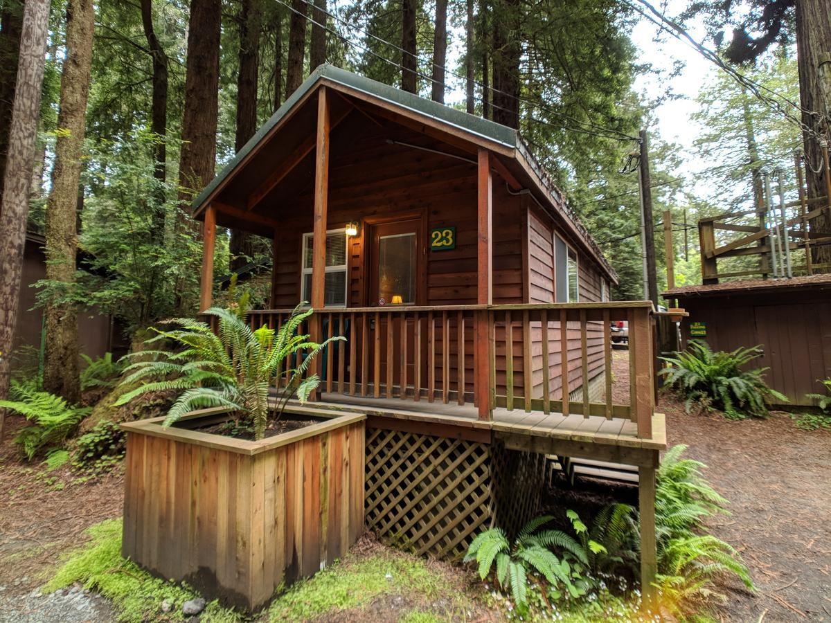 Emerald Forest Cabins ترينيداد المظهر الخارجي الصورة