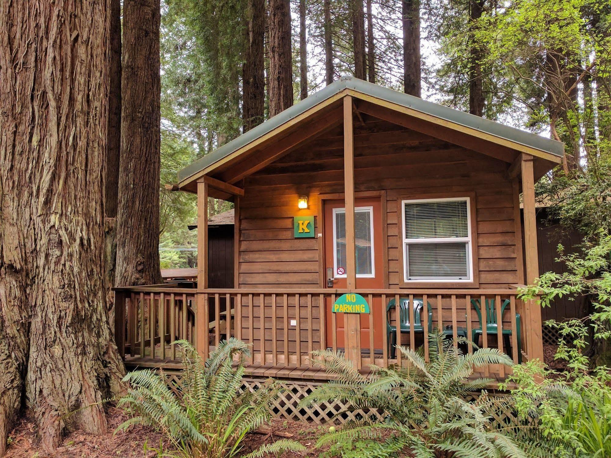Emerald Forest Cabins ترينيداد المظهر الخارجي الصورة